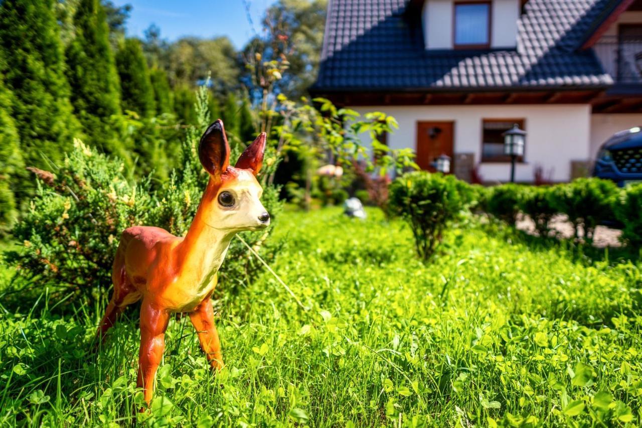 Domek U Eli Czarny Dunajec Exterior foto